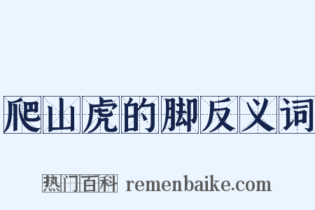 爬山虎的脚反义词是什么意思的图片